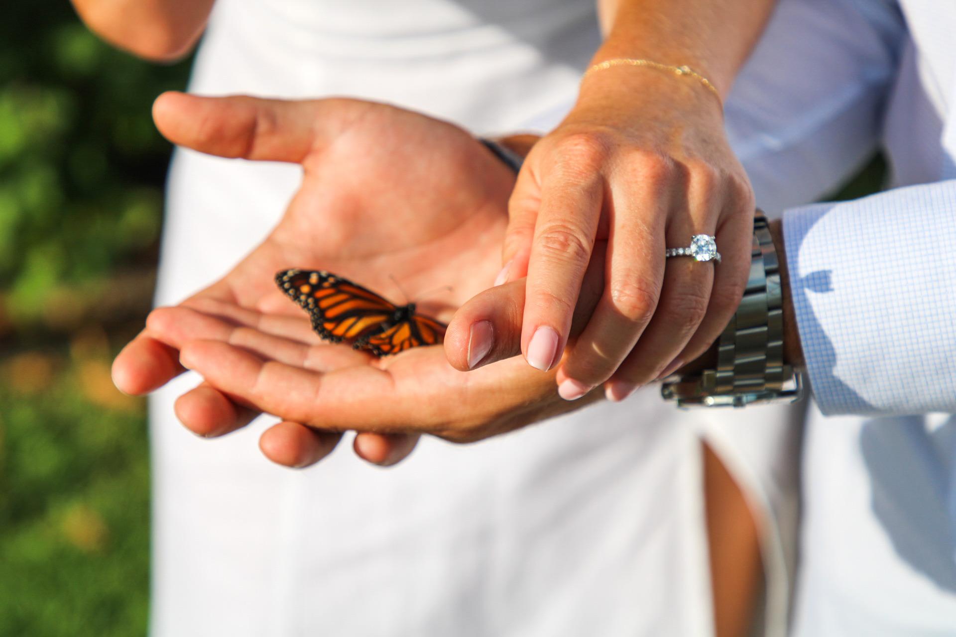 The Wedding Website of Lexi Hicks and Luke DeSimone