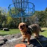 Zobel Park Disc Golf