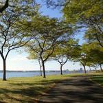 East Shore Park