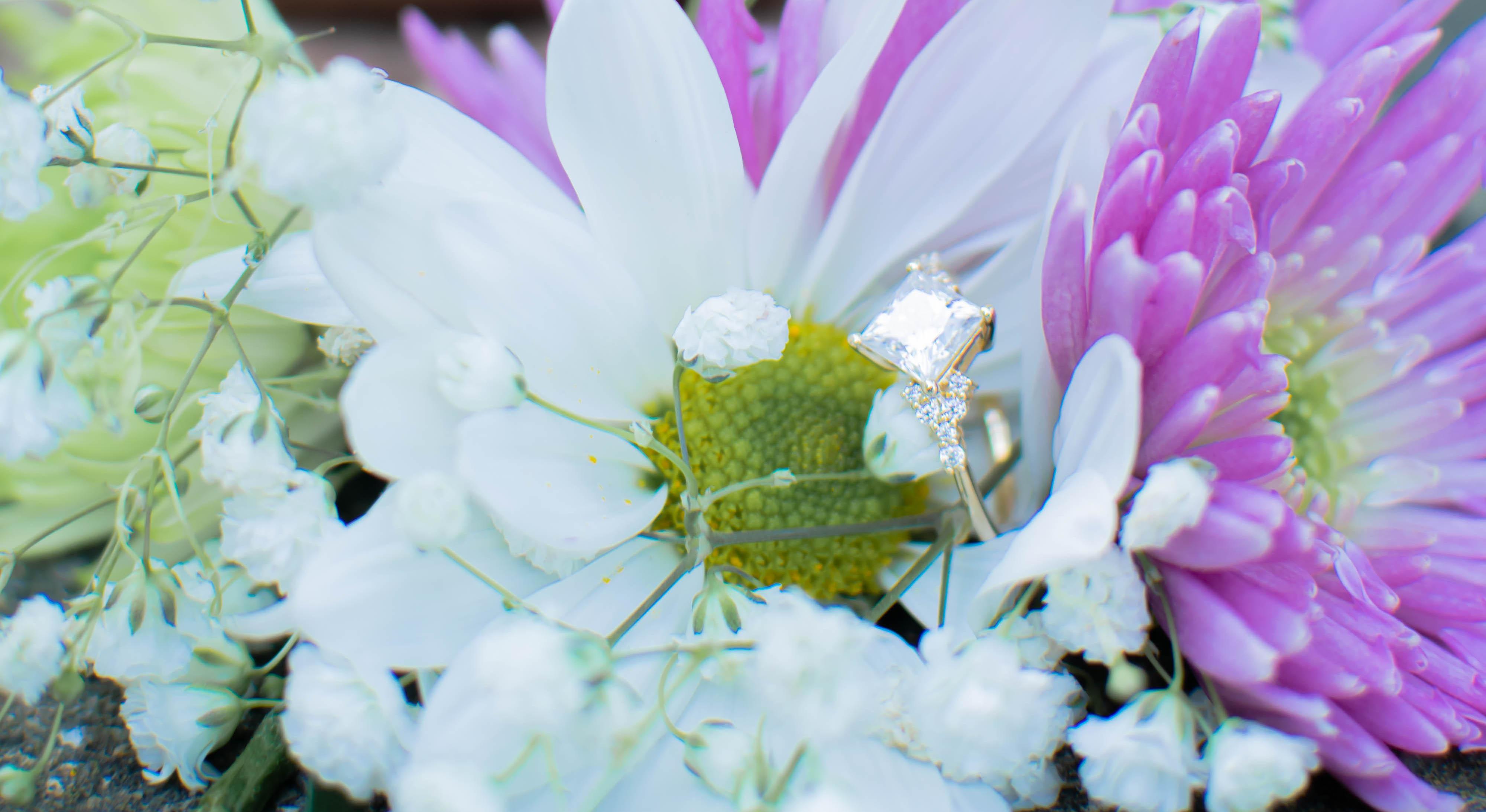 Footer image