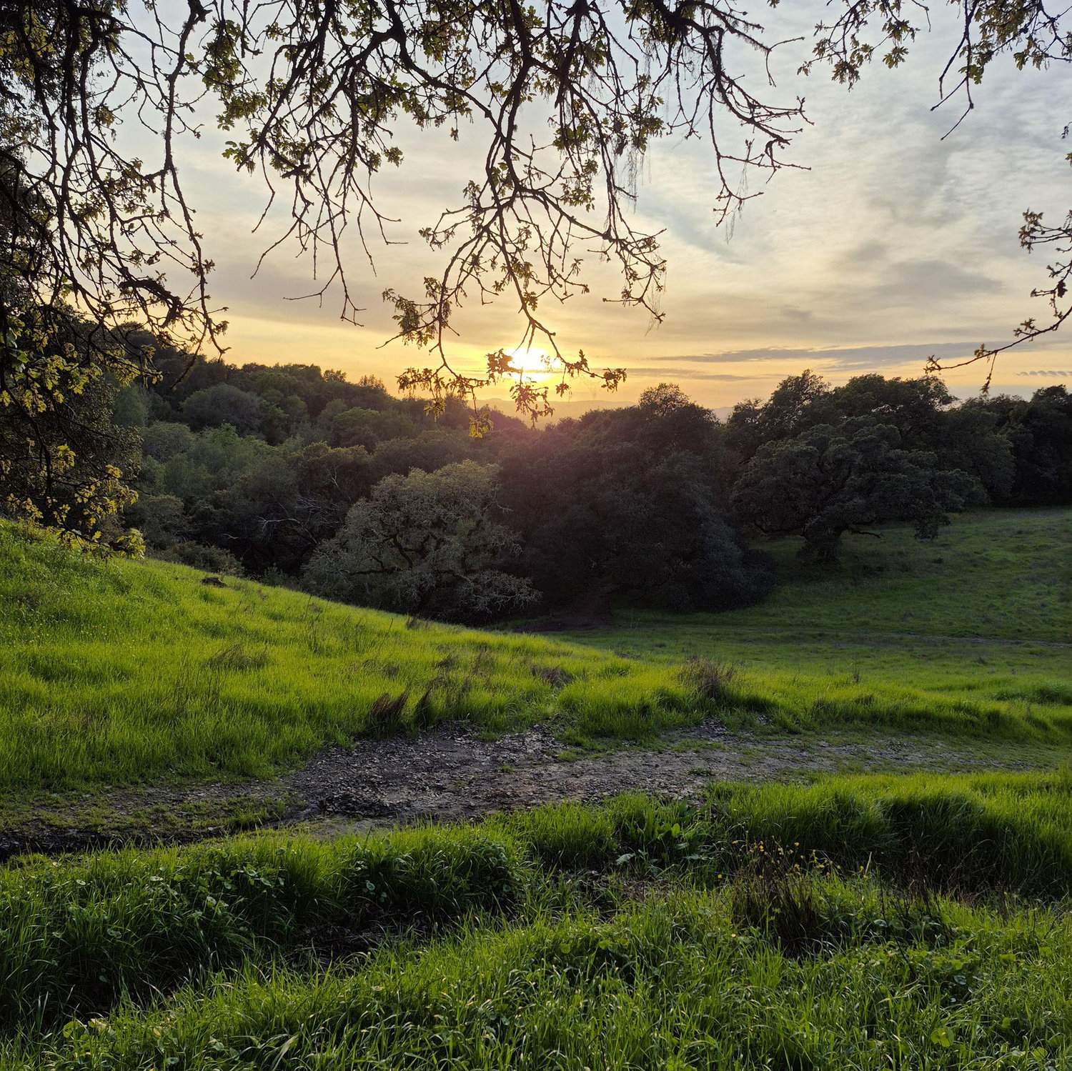 Sunset at Taylor Mountain ♥