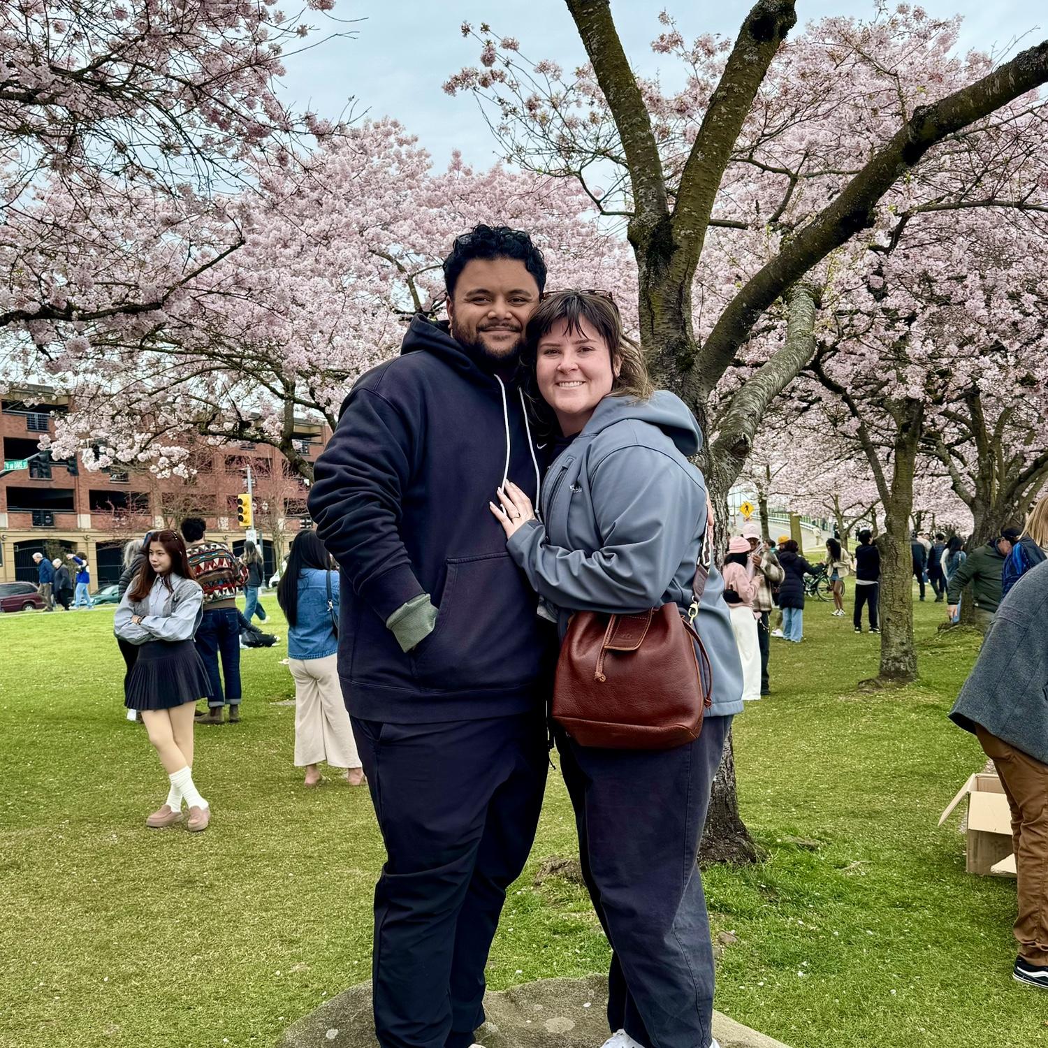 Portland cherry blossoms