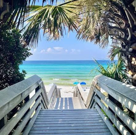 honeymoon 🌴