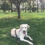 Nathanael Greene/Close Memorial Park