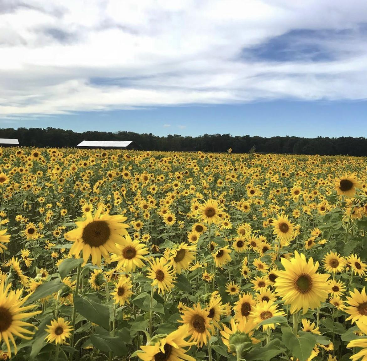 The Wedding Website of Becky Hanna and Aaron Stone 