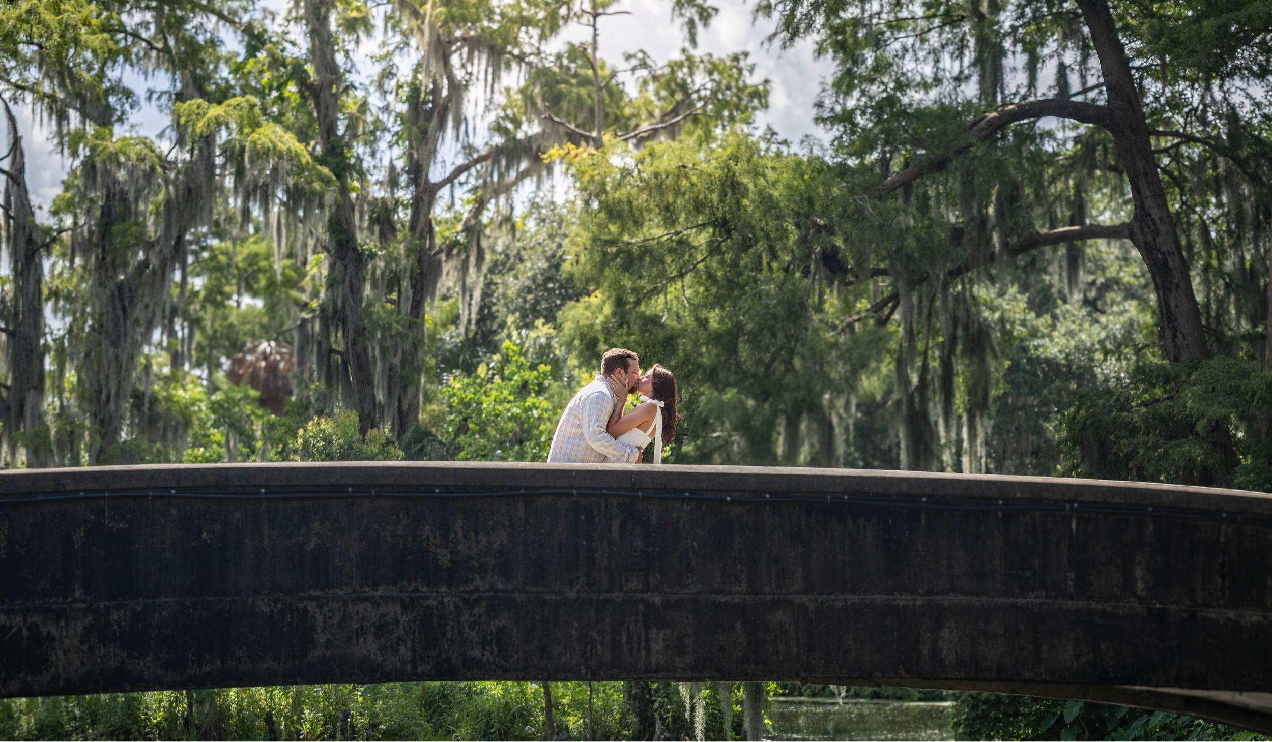 Hero Slideshow Image 0