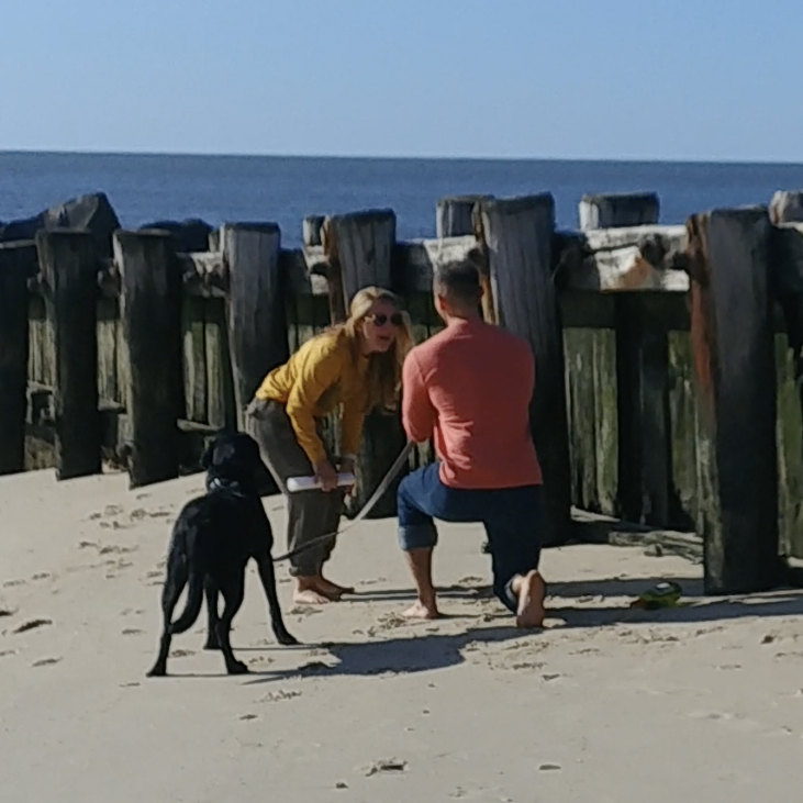 The proposal!