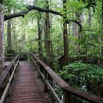 First Landing State Park