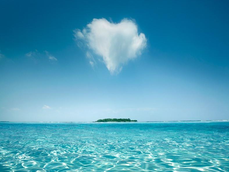 Honeymoon Fund