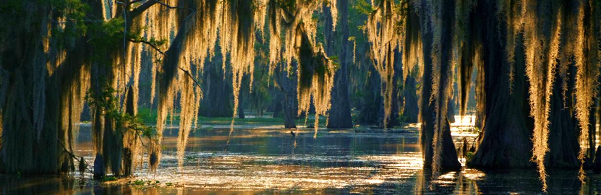 The Wedding Website of Paige Kennedy and Simon Broussard