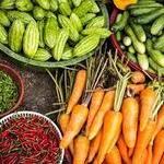 North County Farmers' Market