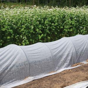 Crop Row Cover 250'