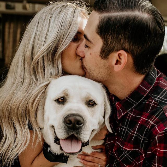 Year's Supply Of Pet Treats