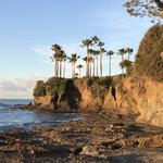 Shaw's Cove