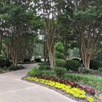 Overton Park