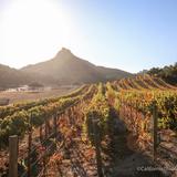 Malibu Wine Hikes