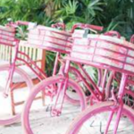 Bike Rentals