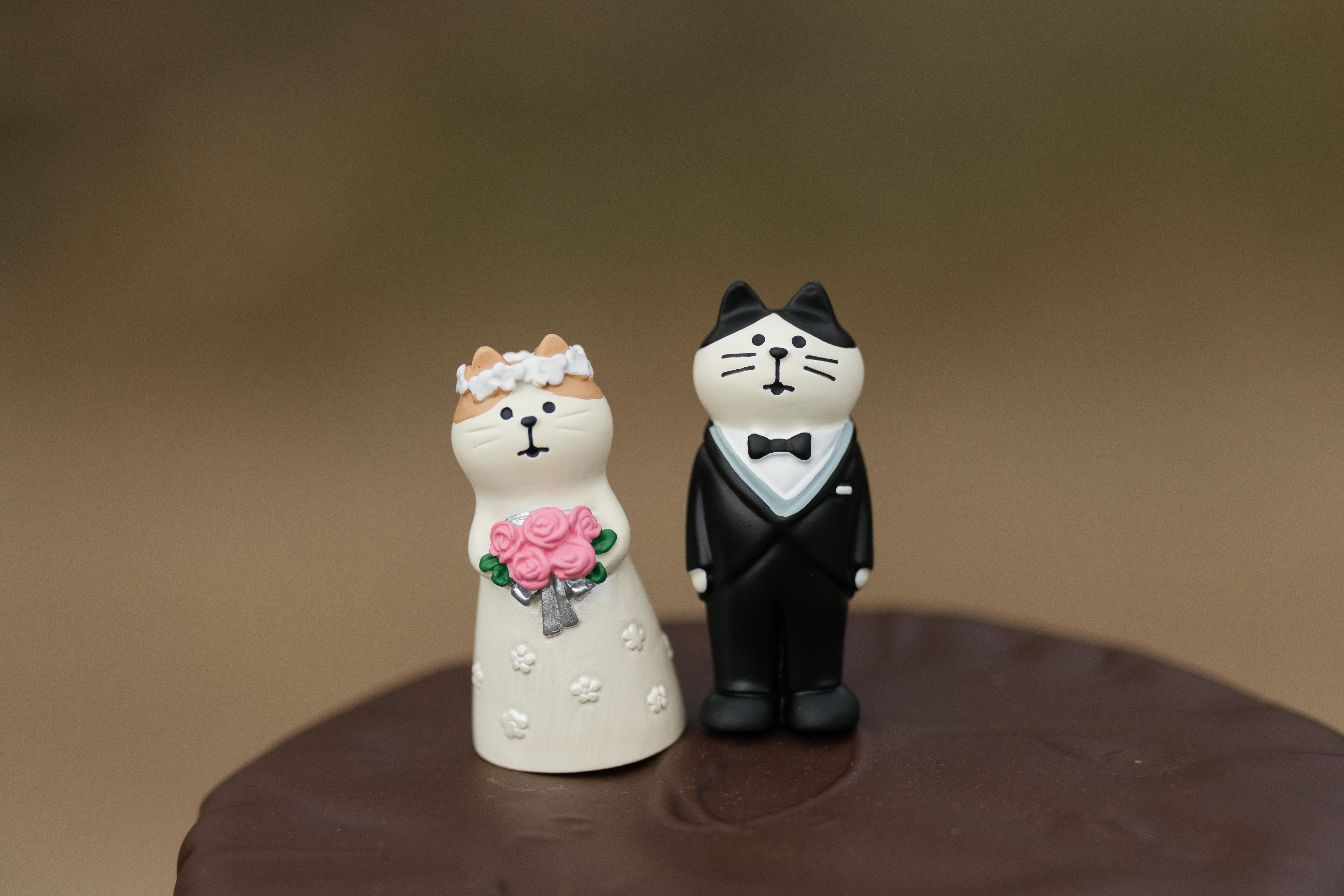 The Wedding Website of Samantha Collins and Blake Francis