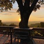 Lindwedel Winery