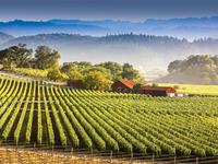 Napa Valley