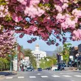 Downtown Sylva Historic District