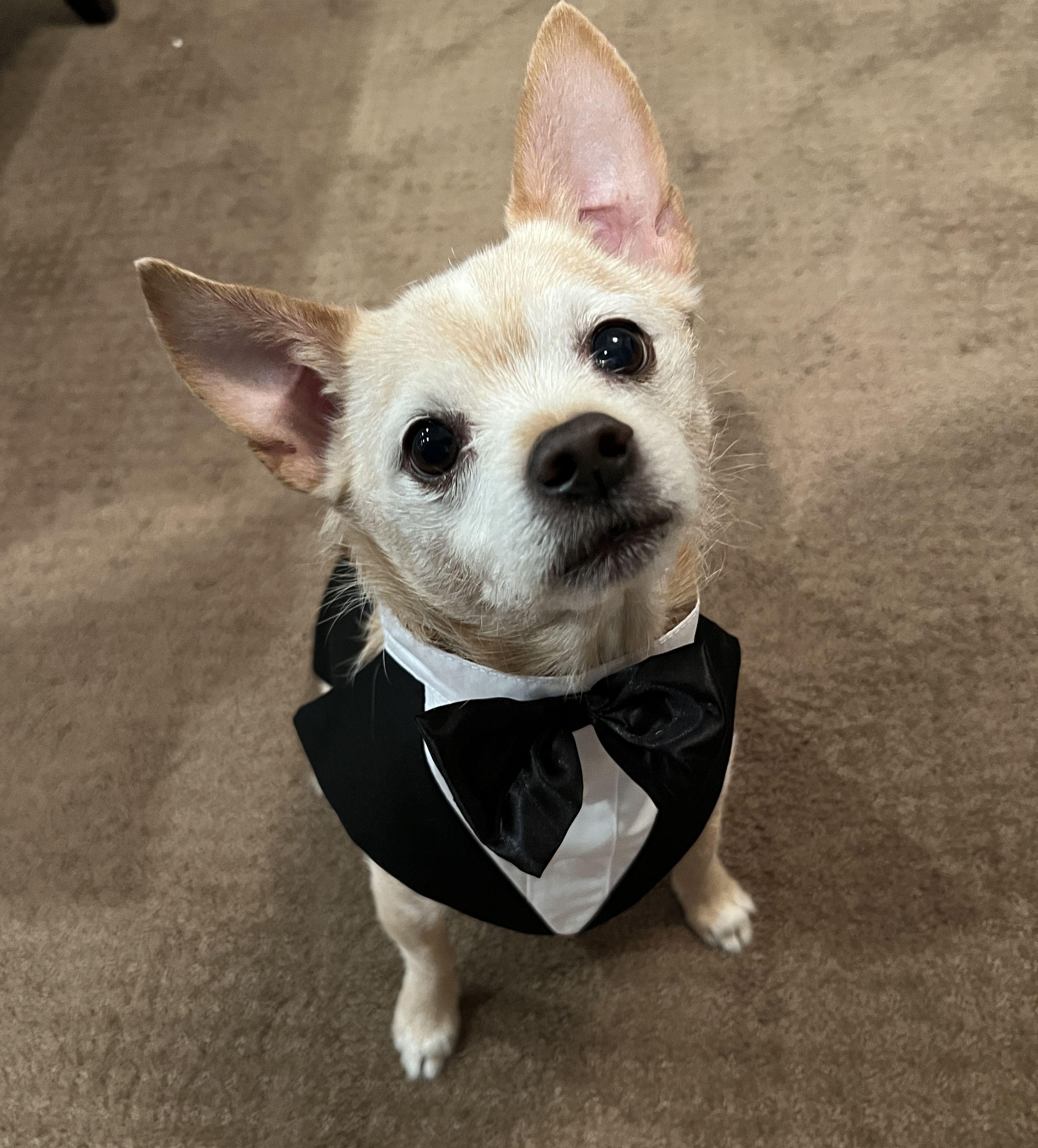 The Wedding Website of Veronica Callozzo and Brady Endres