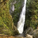Goldstream Provincial Park