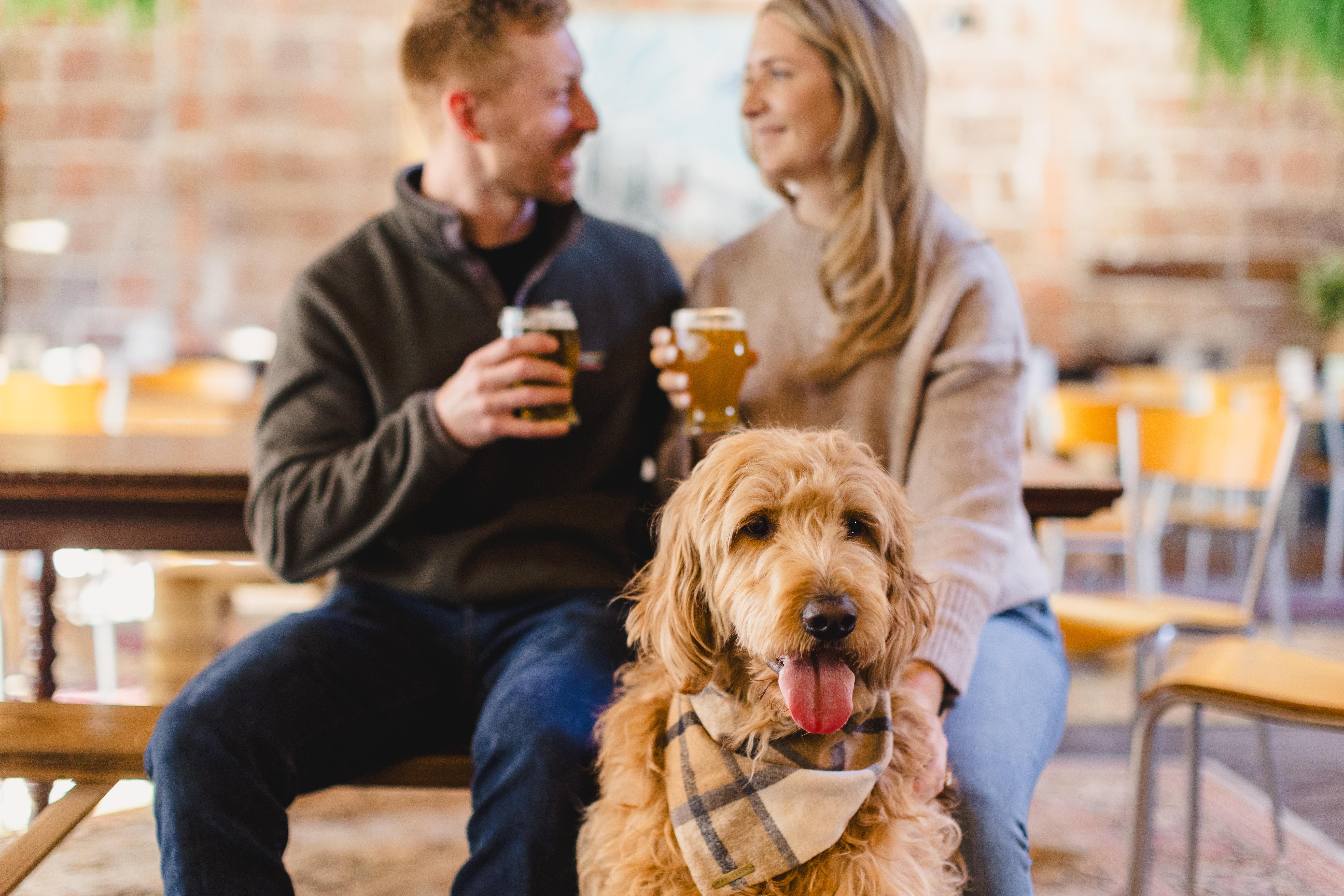 The Wedding Website of Brianna Corwin and Benjamin Dagraedt