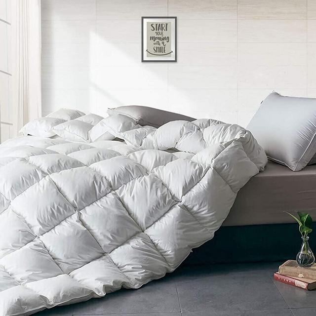 APSMILE Heavyweight European Goose Down Comforter for Winter Colder Weather/Sleeper - Ultra-Soft Egyptian Cotton, 55Oz 750 Fill Power Thicker Duvet Insert(White, Queen)