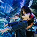 SEA LIFE Kansas City