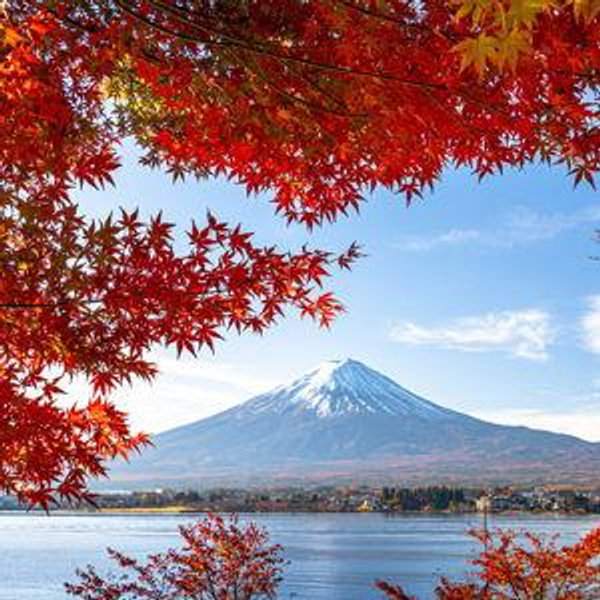 Japan/Thailand Honeymoon fund (Venmo option)