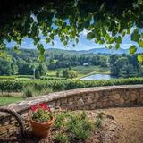 Crane Creek Vineyards