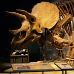 Science Museum of Minnesota