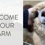 Shear Heaven Farm