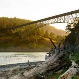Wildlife on Whidbey Island