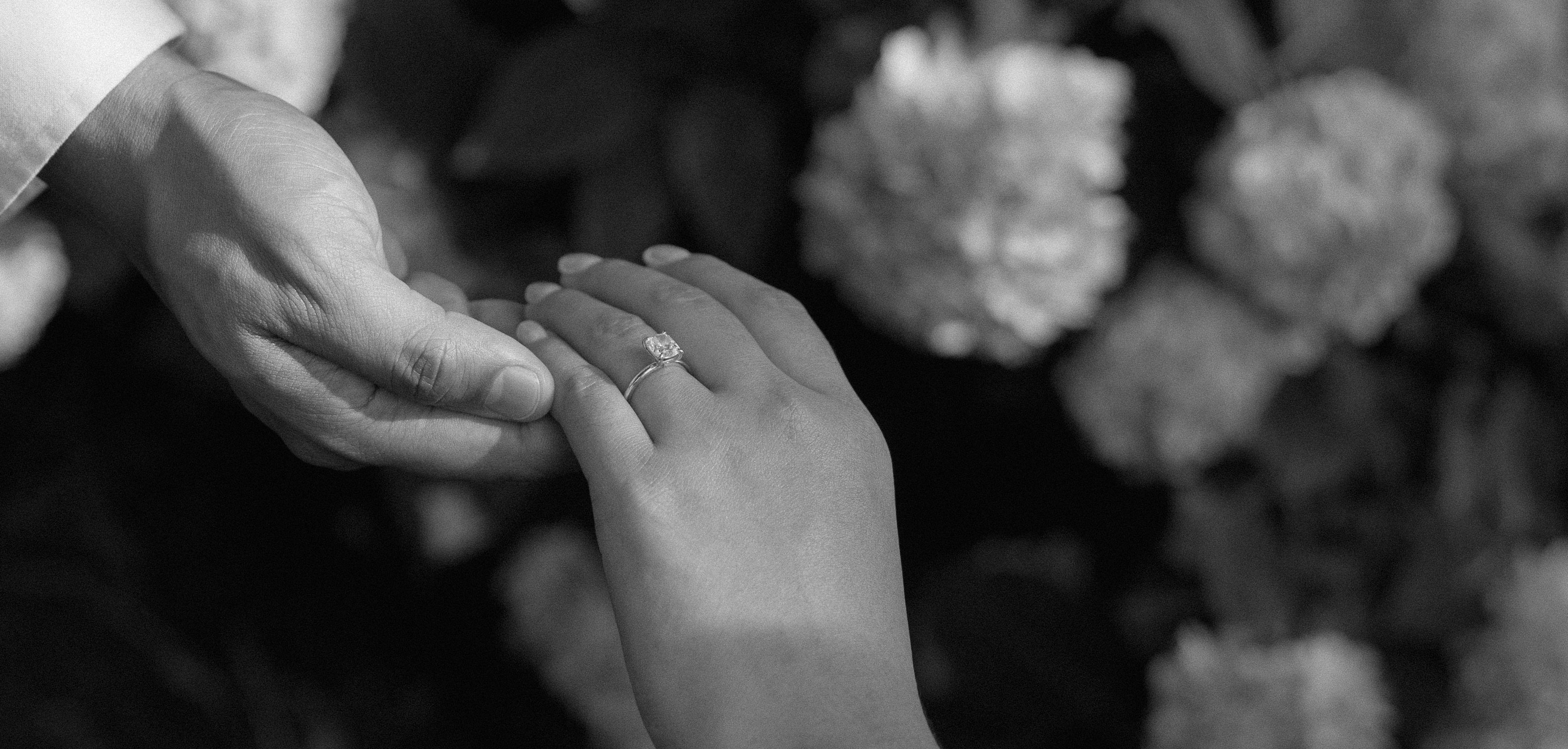 The Wedding Website of Fatima Vera Raya and David Gonzalez Morales
