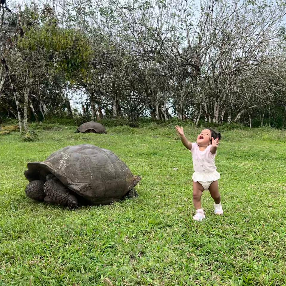Galapagos Islands - Claire with her favorite turtle, so adorable!