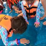 Tours in Cabo to the Arch and Land's End in the only Clear Boat