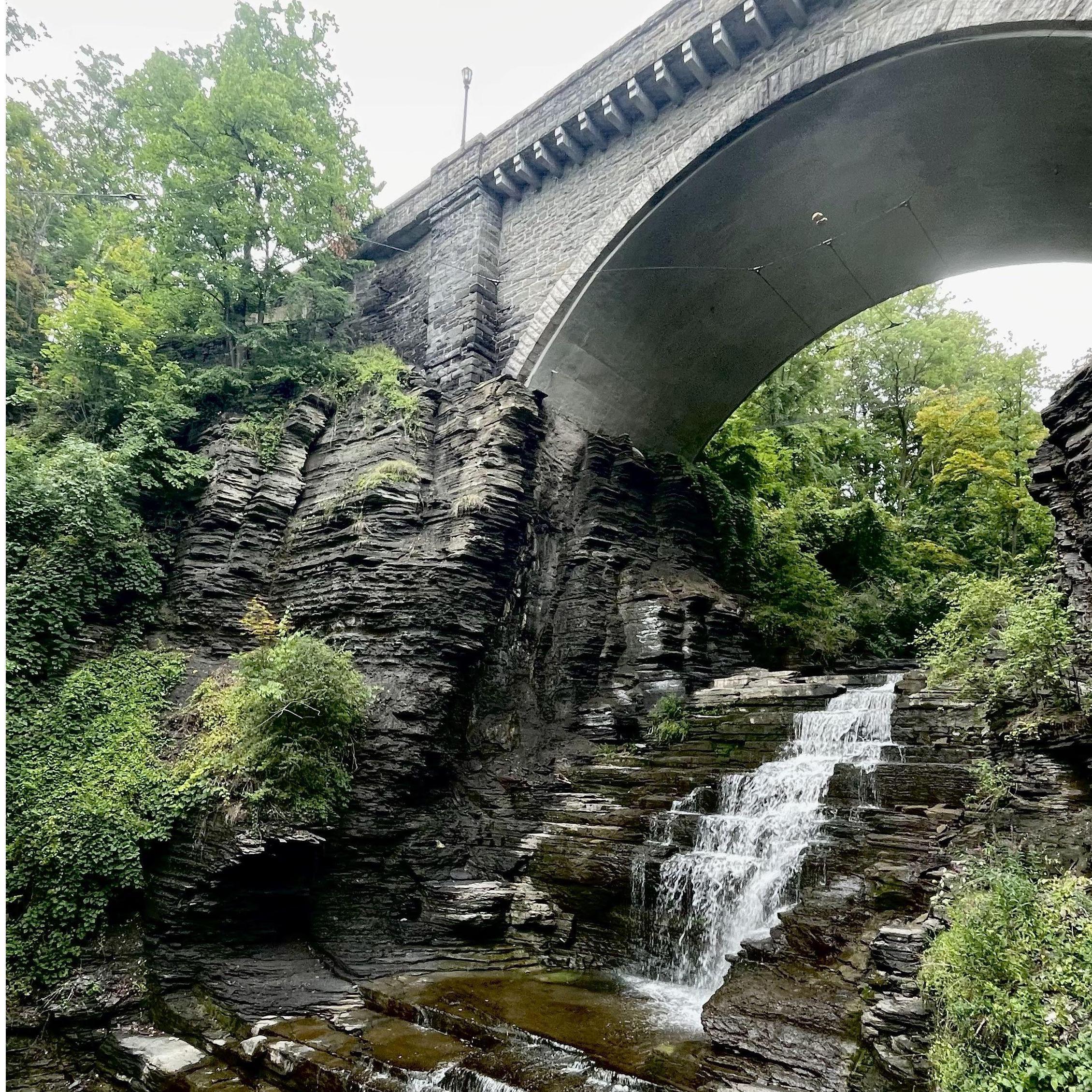 Cascadilla Gorge. Ithaca, NY. This is where we got engaged.