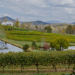 Crane Creek Vineyards