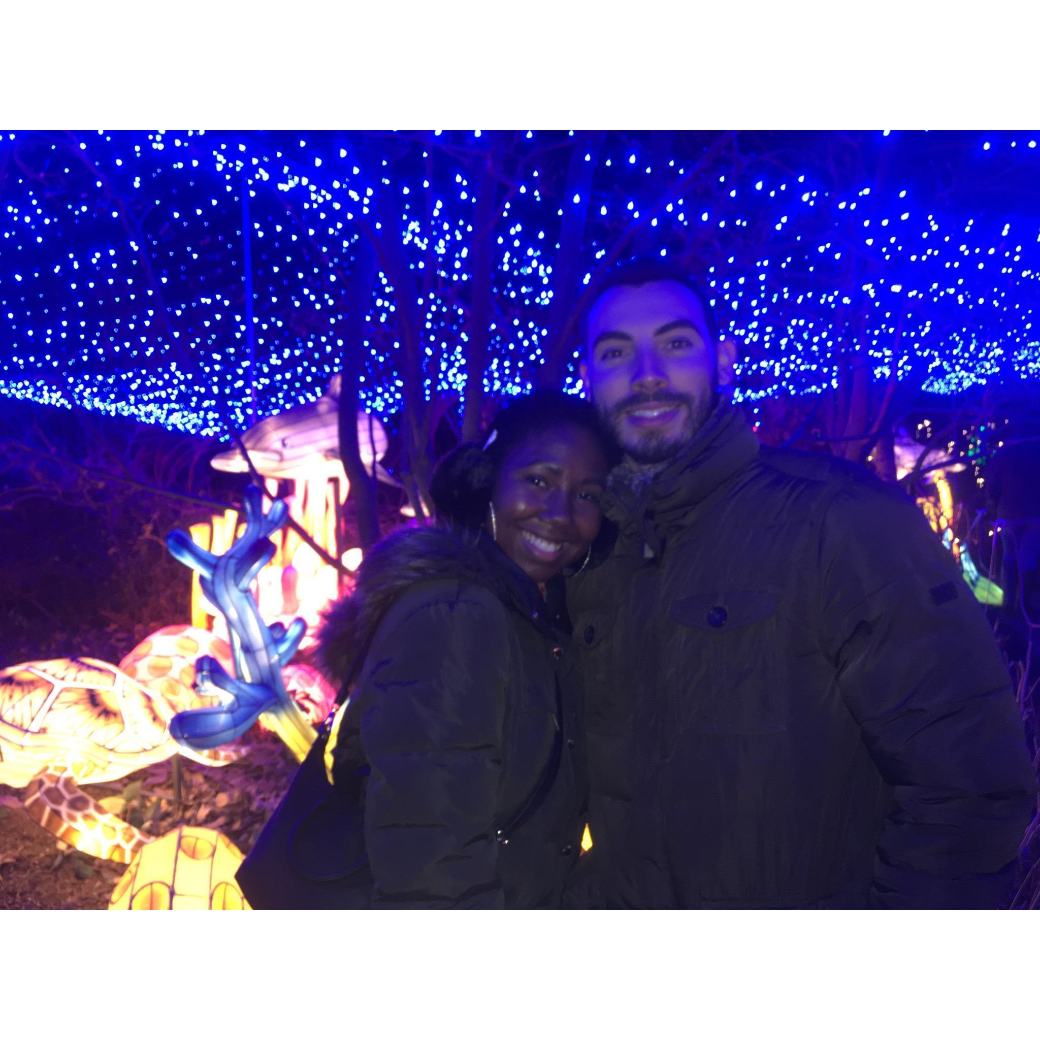 Bronx Zoo in the winter time!