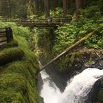 Olympic National Park