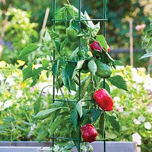 Pro Series Folding Plant Supports