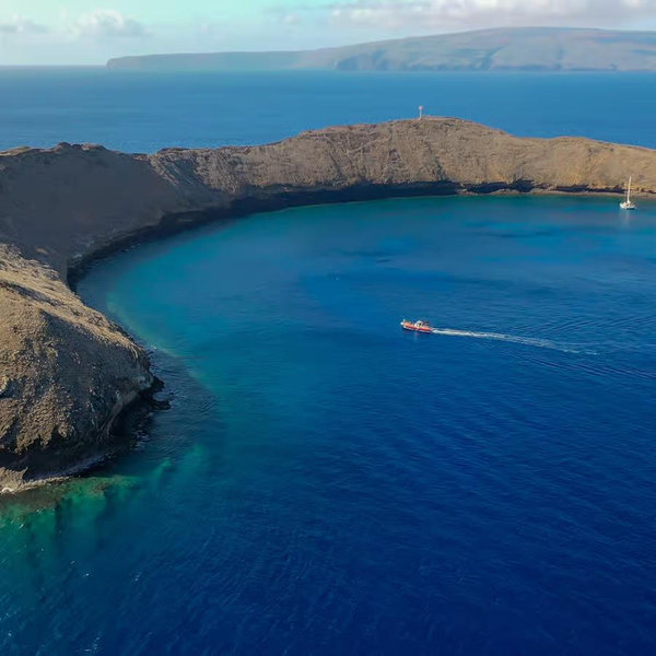 Molokini Snorkel/Sail Akialoa