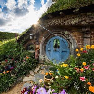 Hobbiton Movie Set Tour