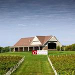 12 Corners Vineyards