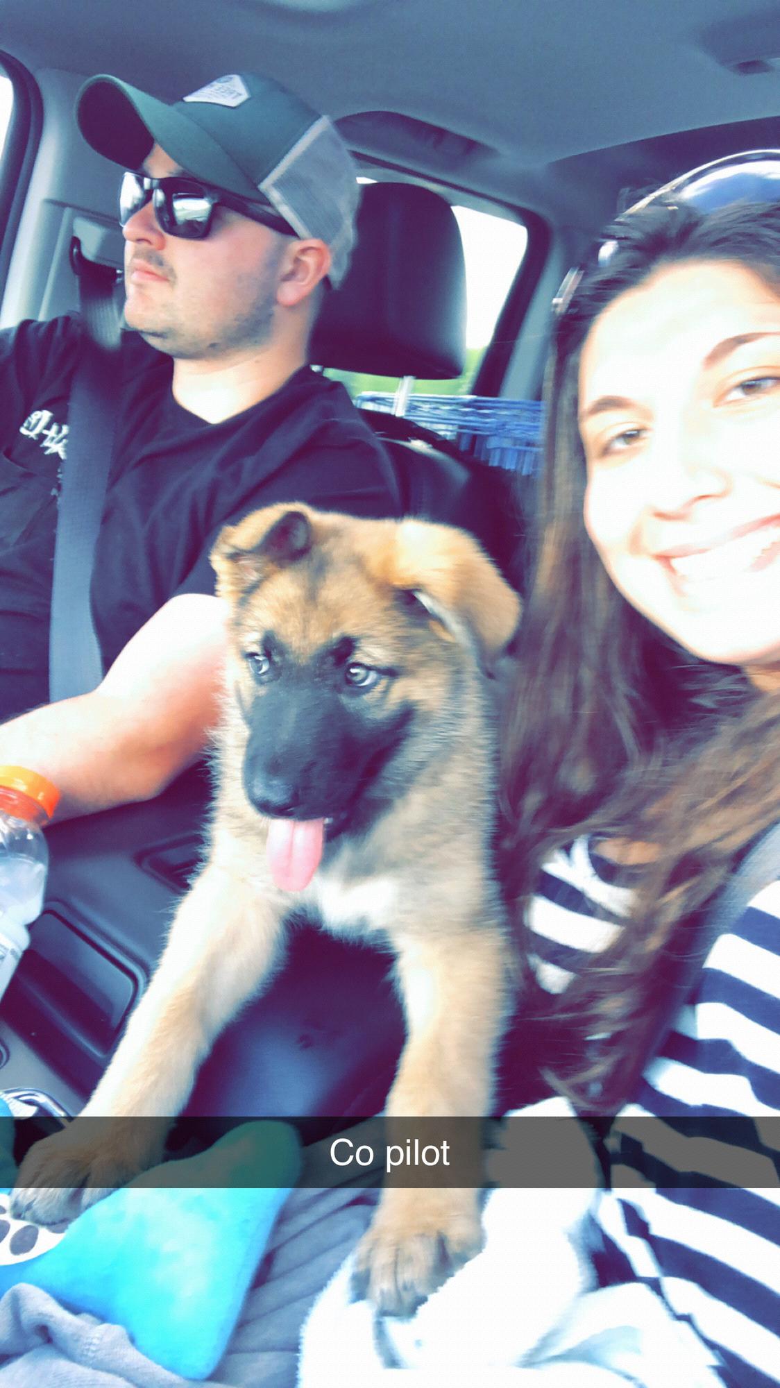 Then we said let’s get a puppy♥️