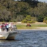 Amelia River Cruises & Charters