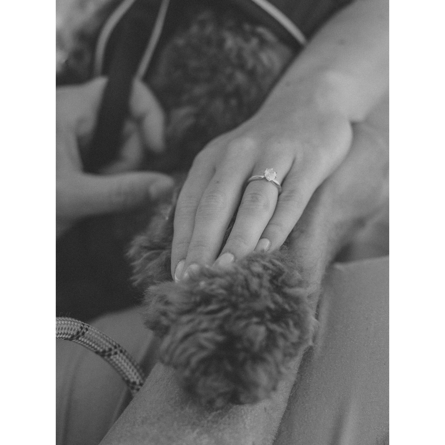 Maverick naturally placed his paw on Matt's arm and our friend and photographer had the beautiful idea to stage the rest.