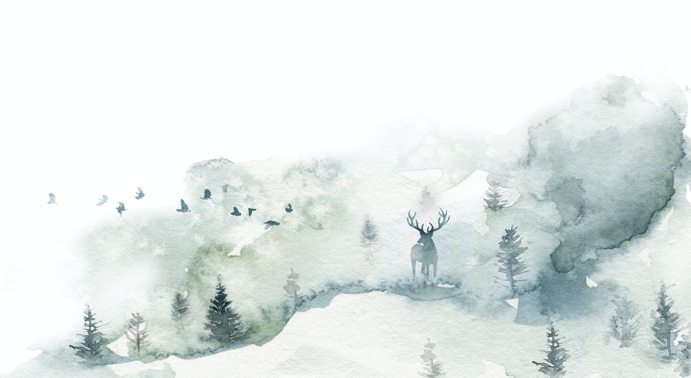 Footer image